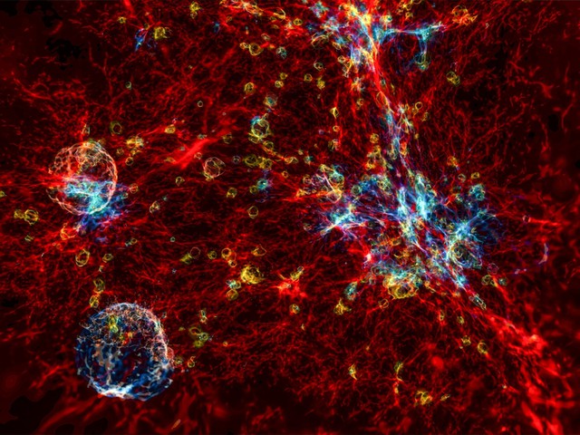 Chúng ta là các tế bào thần kinh của vũ trụ: Một lý thuyết sáng tạo tiết lộ những bí ẩn của vũ trụ và bộ não- Ảnh 1.