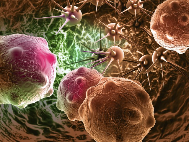 Tế bào ung thư tồn tại và phát triển trong cơ thể chúng ta như thế nào?- Ảnh 3.