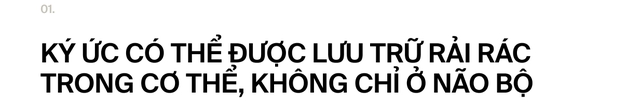 Nếu ký ức tồn tại trong trái tim: Liệu một phần người hiến tim vẫn còn sống, bên trong cơ thể người nhận tạng ghép?- Ảnh 3.