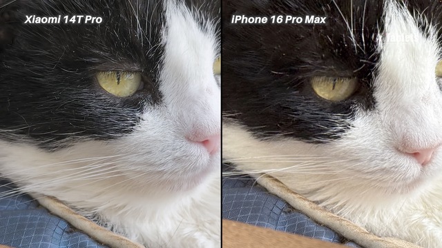 Youtuber so sánh camera Xiaomi 14T Pro với iPhone 16 Pro Max: Apple quay video tốt nhưng chụp đêm xấu hơn, người xem khen Xiaomi hết lời- Ảnh 9.