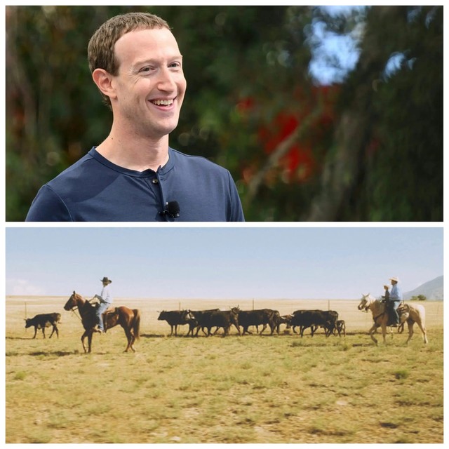 Mark Zuckerberg tiết lộ, đã có lúc con gái tưởng bố mình là người nuôi bò- Ảnh 1.