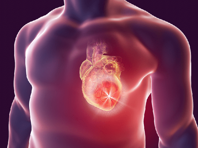 Tại sao tim lại là bộ phận duy nhất trong cơ thể gần như không thể bị ung thư?- Ảnh 2.