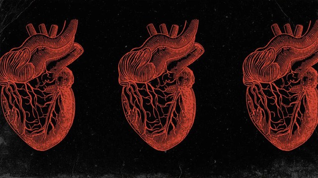 Tại sao tim lại là bộ phận duy nhất trong cơ thể gần như không thể bị ung thư?- Ảnh 3.