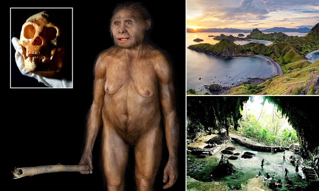 Loài người cổ đại có thể vẫn còn sống trên đảo Flores của Indonesia- Ảnh 3.
