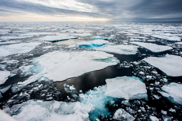 Tại sao băng trên biển được làm từ nước ngọt khi đại dương lại toàn là nước mặn?- Ảnh 2.