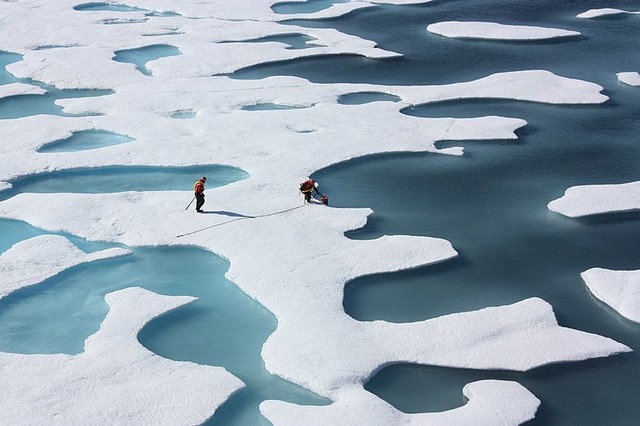 Tại sao băng trên biển được làm từ nước ngọt khi đại dương lại toàn là nước mặn?- Ảnh 1.