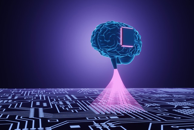 Các nhà khoa học tạo ra một máy tính sinh học lai có thể trở thành nền tảng để nghiên cứu các mô hình não bộ!- Ảnh 4.