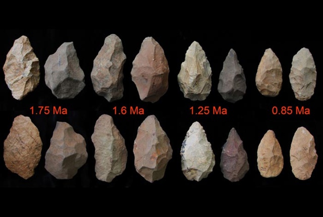 Bằng chứng khảo cổ 1,6 triệu năm tuổi thay đổi cái nhìn của con người về lịch sử ngôn ngữ- Ảnh 4.