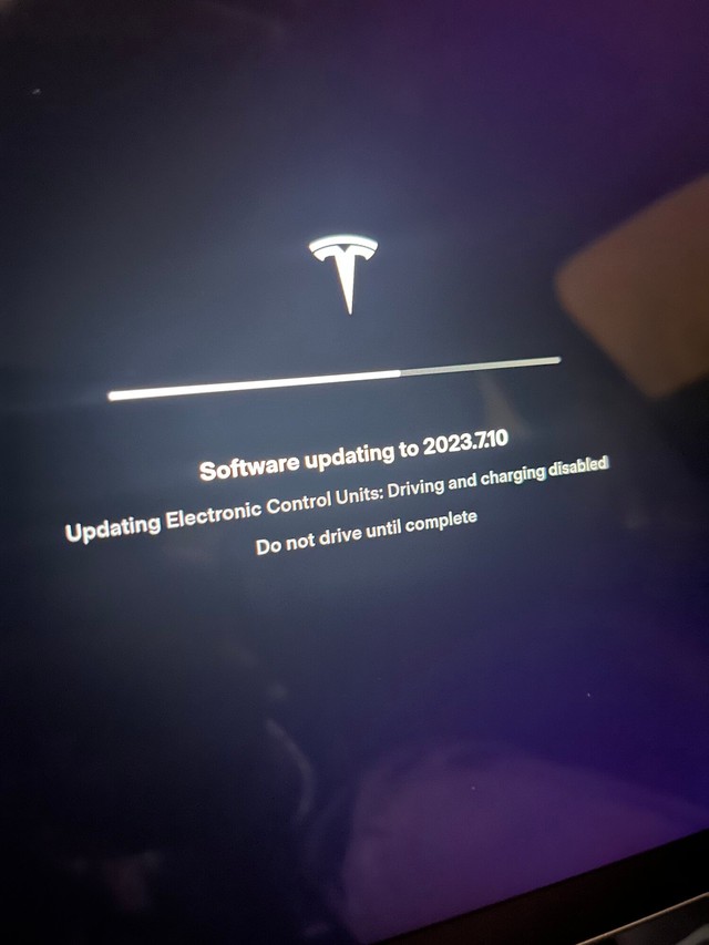 Tesla cập nhật phần mềm, một TikToker bị nhốt với cái nóng 45 độ C trong xe- Ảnh 2.