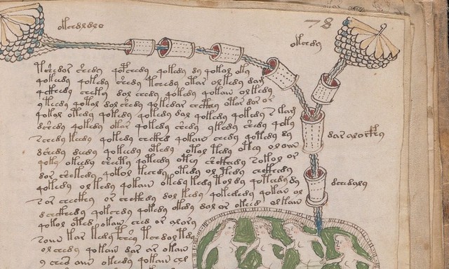 AI đã giải mã được bản thảo Voynich, bí ẩn 600 năm tuổi mà không ai có thể giải mã được?- Ảnh 2.