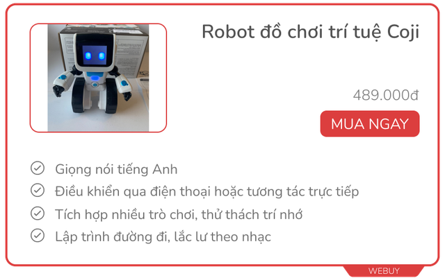 AI robot này dùng iPhone làm khuôn mặt, biết cáu giận, trò chuyện bằng ChatGPT, giá từ hơn 3 triệu nếu mua sớm- Ảnh 8.
