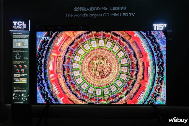 Với công nghệ này, TCL đang nhăm nhe vị thế của Samsung, LG, Sony trên thị trường TV cao cấp- Ảnh 5.