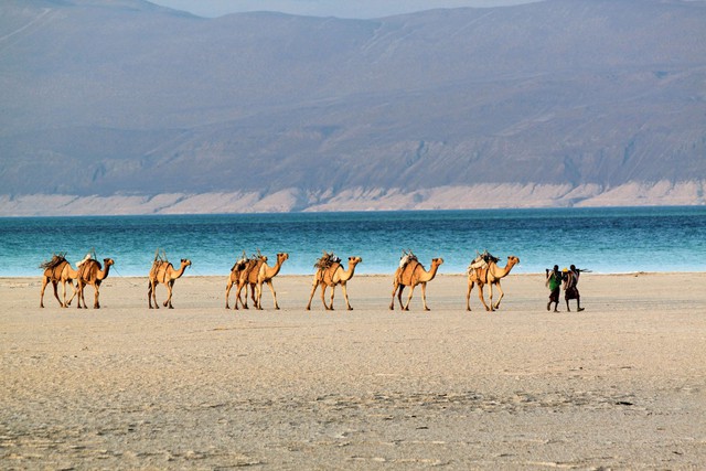 Djibouti: Vì sao một quốc gia ven biển nhỏ bé ở phía đông bắc châu Phi lại được mệnh danh là “Tiền đồn Biển Đỏ”?- Ảnh 7.