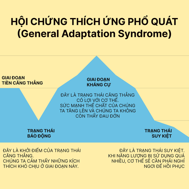 Giải mã trạng thái “siêu sức mạnh” của người hùng đập tường trong vụ cháy ở Trung Kính: Đâu mới là giới hạn thực sự của thể chất con người?- Ảnh 12.