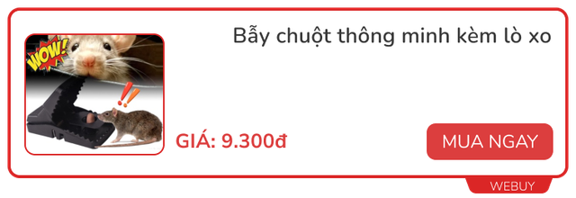 Dùng thử bẫy gián trong Doreamon: Giá chỉ 7.000đ, để qua đêm đã “triệu hồi” được cả gia tộc gián- Ảnh 25.