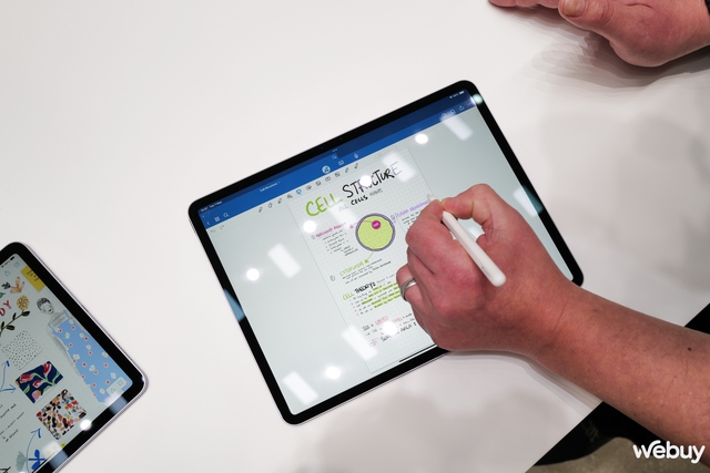 Trên tay bộ đôi phụ kiện 'quyền lực' của iPad Pro OLED 2024: Apple Pencil Pro và Magic Keyboard- Ảnh 2.