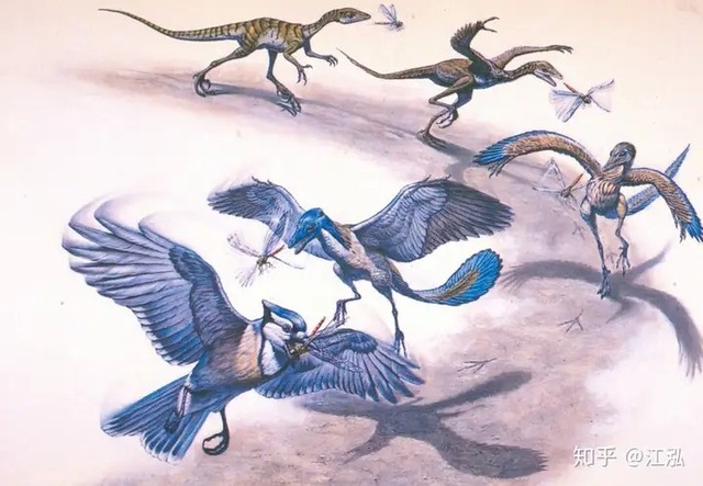 Nếu chim tiến hóa từ khủng long thì tại sao chim lại tiến hóa mỏ? - Ảnh 4.