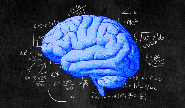 Giả mã bí ẩn não bộ: Con người sẽ được sử dụng được 100% sức mạnh của bộ não?- Ảnh 2.