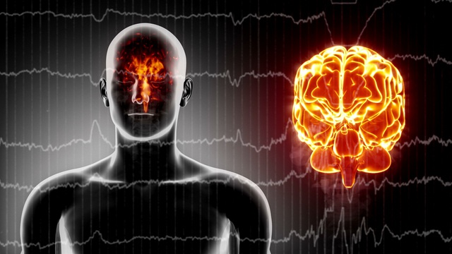 Giả mã bí ẩn não bộ: Con người sẽ được sử dụng được 100% sức mạnh của bộ não?- Ảnh 1.