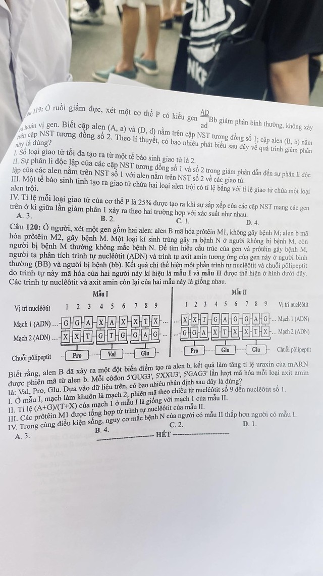 ĐÃ CÓ gợi ý đáp án môn SINH HỌC tốt nghiệp THPT 2024, cập nhật ngay TẠI ĐÂY - Ảnh 7.