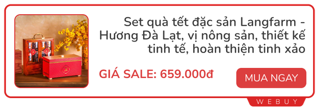 Không biết chọn gì biếu Tết: Gợi ý list đồ đẹp - độc - lạ, người nhận chắc chắn sẽ thích- Ảnh 10.