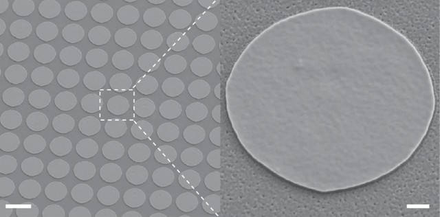 Chip não tiêm của MIT có thể điều trị bệnh mà không cần phẫu thuật - Ảnh 1.