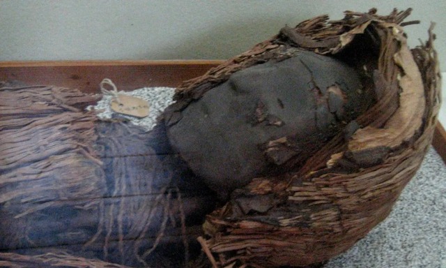 Tại sao những xác ướp tiền sử ở sa mạc Atacama lại có bộ não nhỏ bất thường? - Ảnh 1.