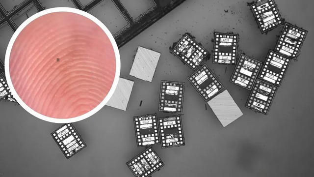 Các nhà khoa học vừa chế tạo thành công những robot vi mô, chỉ nhỏ bằng một sinh vật đơn bào và 'hoạt động vĩnh cửu' nhờ ánh sáng - Ảnh 1.