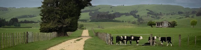 Những câu chuyện khoa học nổi bật nhất năm 2025: Từ tham vọng hồi sinh quái thú đến những "cú quay xe" đầy tranh cãi - Ảnh 2.