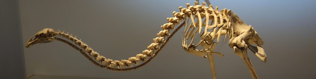 Những câu chuyện khoa học nổi bật nhất năm 2025: Từ tham vọng hồi sinh quái thú đến những "cú quay xe" đầy tranh cãi - Ảnh 1.