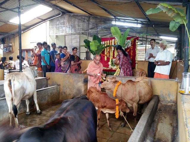 Ấn Độ nuôi hơn 500 triệu con bò nhưng không ăn thịt, mà biến chất thải của chúng thành mỏ vàng tỷ đô - Ảnh 4.