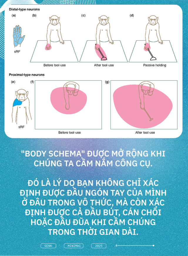 Điện thoại giờ đã trở thành một phần mở rộng của cơ thể con người: Rời tay khỏi nó, bạn sẽ thấy trống rỗng, giống như người mới cắt cụt chi- Ảnh 9.