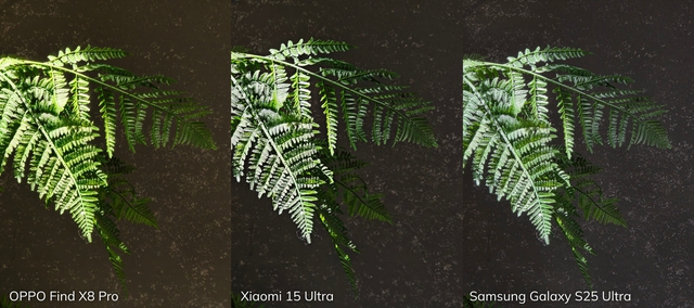 Đọ camera zoom Galaxy S25 Ultra - OPPO Find X8 Pro - Xiaomi 15 Ultra: Zoom quang thật lớn hay tăng độ phân giải mới là "chân ái"?- Ảnh 9. Đọ camera zoom Galaxy S25 Ultra - OPPO Find X8 Pro - Xiaomi 15 Ultra: Zoom quang thật lớn hay tăng độ phân giải mới là "chân ái"?- Ảnh 9.