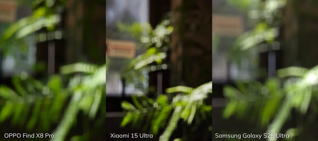 Đọ camera zoom Galaxy S25 Ultra - OPPO Find X8 Pro - Xiaomi 15 Ultra: Zoom quang thật lớn hay tăng độ phân giải mới là "chân ái"?- Ảnh 15. Đọ camera zoom Galaxy S25 Ultra - OPPO Find X8 Pro - Xiaomi 15 Ultra: Zoom quang thật lớn hay tăng độ phân giải mới là "chân ái"?- Ảnh 15.