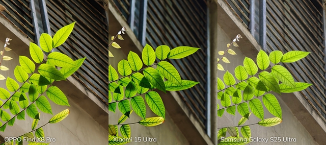 Đọ camera zoom Galaxy S25 Ultra - OPPO Find X8 Pro - Xiaomi 15 Ultra: Zoom quang thật lớn hay tăng độ phân giải mới là "chân ái"?- Ảnh 11. Đọ camera zoom Galaxy S25 Ultra - OPPO Find X8 Pro - Xiaomi 15 Ultra: Zoom quang thật lớn hay tăng độ phân giải mới là "chân ái"?- Ảnh 11.