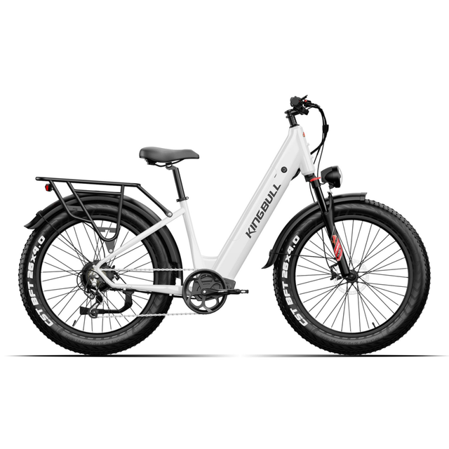 Ra mắt xe đạp điện động cơ 750W, sạc một lần đi 96km, giá "chỉ" ngang Honda Vision- Ảnh 3.