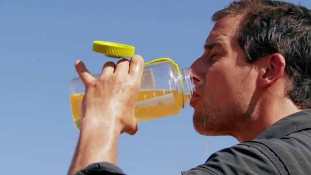 Uống nước tiểu để sinh tồn: mẹo cứu mạng hay ảo tưởng nguy hiểm được thổi phồng trên truyền hình - Ảnh 1.