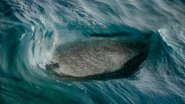 Kỳ quan "con sóng điên rồ nhất thế giới" tại Úc gây bão mạng xã hội vì quá ảo diệu giống hệt sản phẩm AI - Ảnh 2.