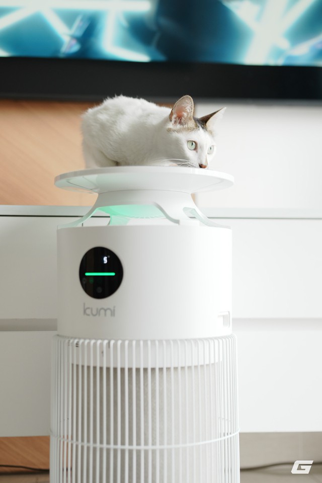 Dùng thử Kumi PureSense KP460: Máy lọc không khí gần 5 triệu, hút lông và giảm mùi ra sao trong nhà có 2 chú mèo? - Ảnh 8.