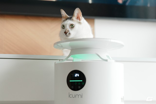 Dùng thử Kumi PureSense KP460: Máy lọc không khí gần 5 triệu, hút lông và giảm mùi ra sao trong nhà có 2 chú mèo? - Ảnh 7.