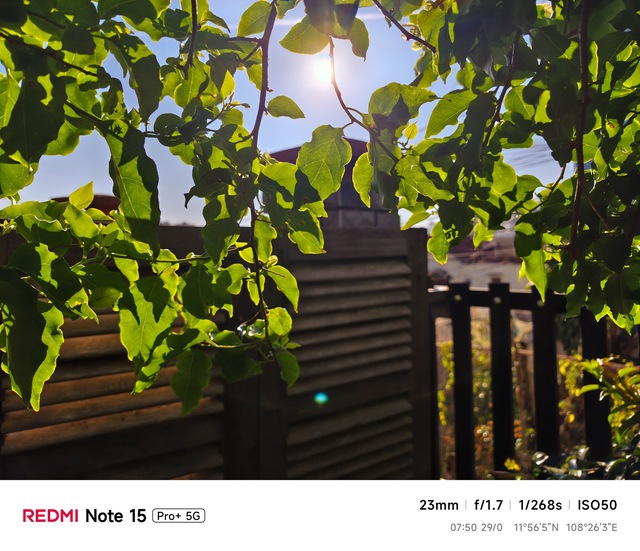 Hoa mai anh đ&agrave;o, m&acirc;y, sương m&ugrave; v&agrave; REDMI Note 15 Pro  - Ảnh 35.