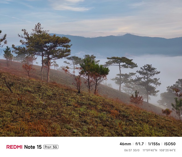 Hoa mai anh đ&agrave;o, m&acirc;y, sương m&ugrave; v&agrave; REDMI Note 15 Pro  - Ảnh 2.