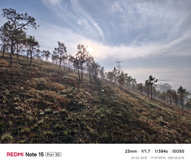 Hoa mai anh đ&agrave;o, m&acirc;y, sương m&ugrave; v&agrave; REDMI Note 15 Pro  - Ảnh 8.