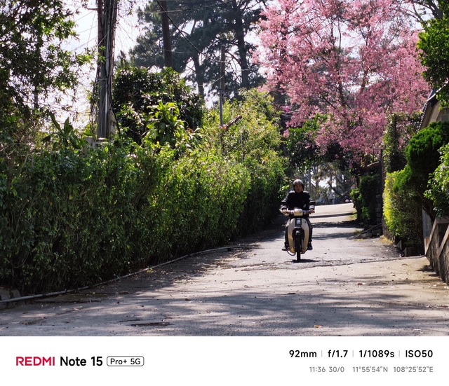 Hoa mai anh đ&agrave;o, m&acirc;y, sương m&ugrave; v&agrave; REDMI Note 15 Pro  - Ảnh 34.