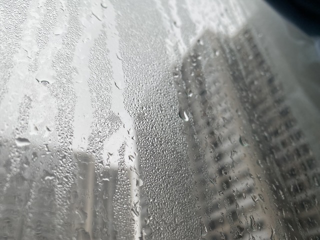 Nồm ẩm, tường s&agrave;n nhớp nh&aacute;p: M&aacute;y h&uacute;t ẩm hay m&aacute;y lọc kh&ocirc;ng kh&iacute; t&iacute;ch hợp h&uacute;t ẩm mới đủ đ&ocirc;? - Ảnh 1.