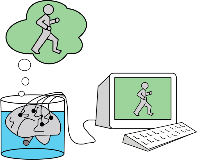 Nếu cơ thể chết đi nhưng não bộ được bảo quản trong dung dịch dinh dưỡng, liệu nó có sống trong một thế giới ảo không? - Ảnh 2.