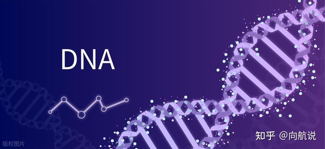 Con người có thể bất tử hay không khi khoa học tiến sát giới hạn tuổi thọ và đối mặt quy luật tự nhiên khắc nghiệt - Ảnh 3.