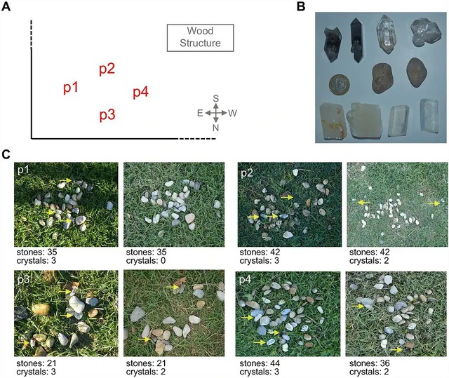Nghiên cứu về loài tinh tinh tại Tây Ban Nha hé lộ niềm đam mê chung đối với các tinh thể giữa linh trưởng và người - Ảnh 3.