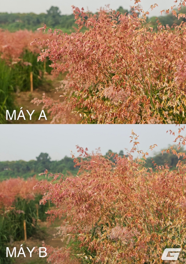 Blind test camera Galaxy S26 Ultra v&agrave; Leica Leitzphone by Xiaomi: B&agrave;i thử dễ ph&acirc;n biệt nhất? - Ảnh 4.