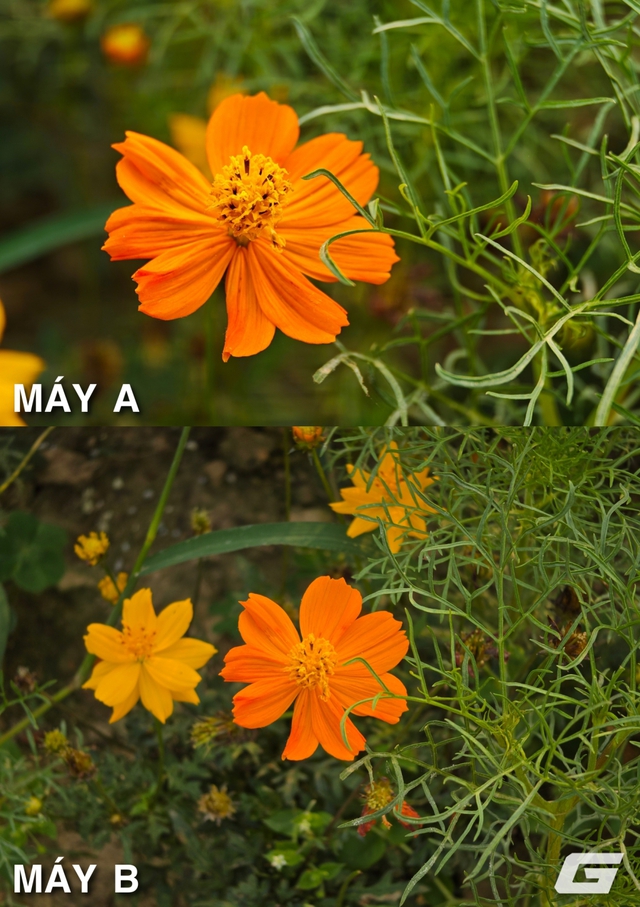 Blind test camera Galaxy S26 Ultra v&agrave; Leica Leitzphone by Xiaomi: B&agrave;i thử dễ ph&acirc;n biệt nhất? - Ảnh 5.